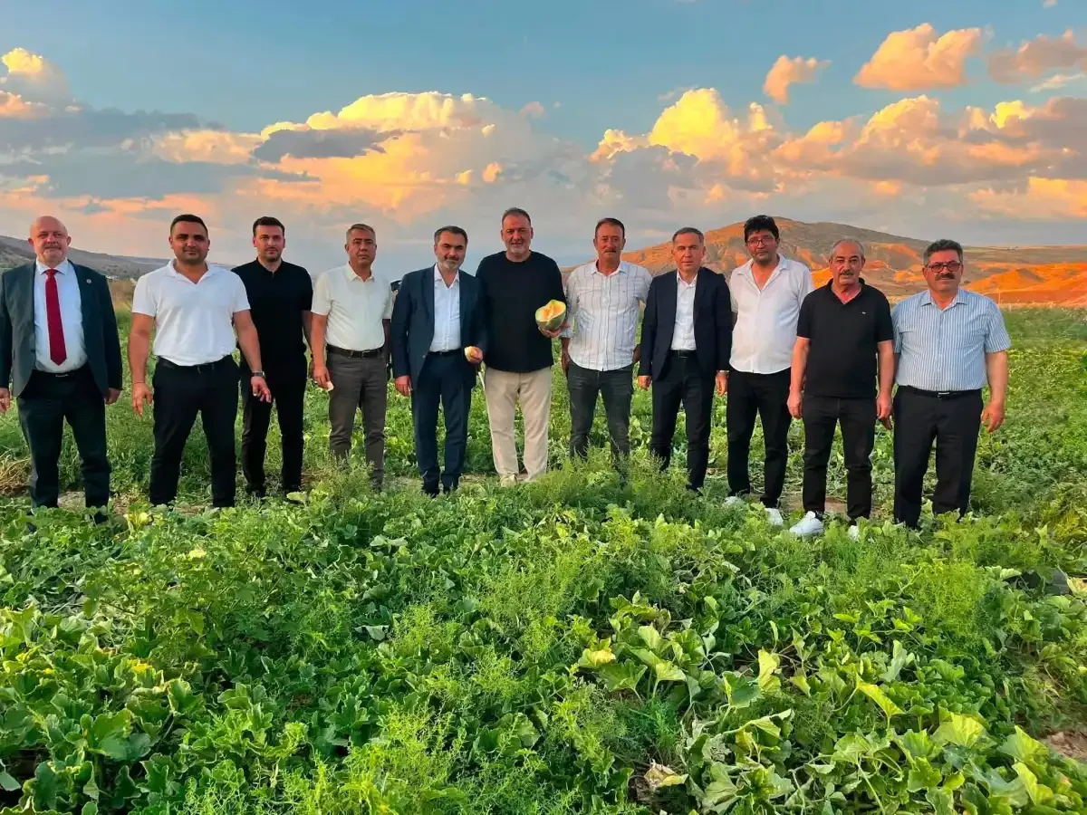 Delice kara kavunu bilimle geleceğe taşınıyor