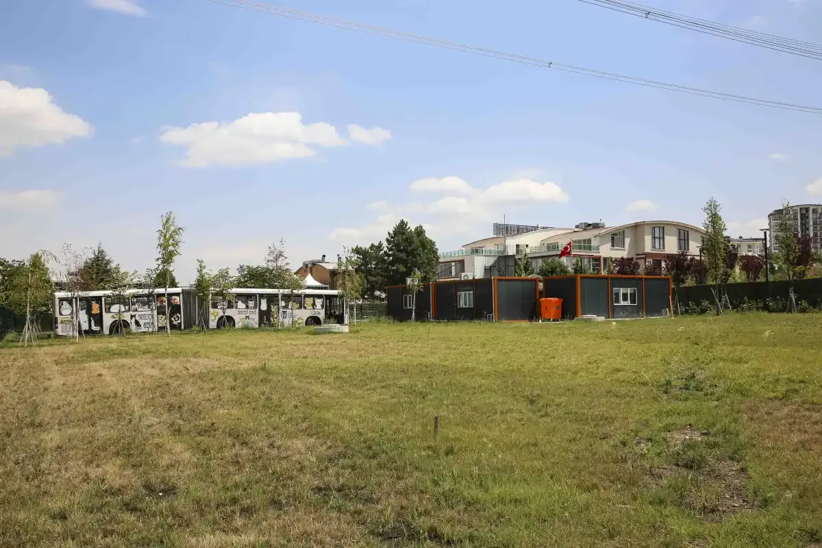 ABB'den kedilere özel merkez