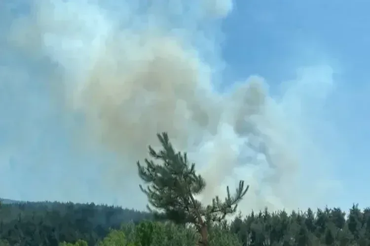 Çanakkale'de yangın ekiplerin müdahalesiyle kontrol altında