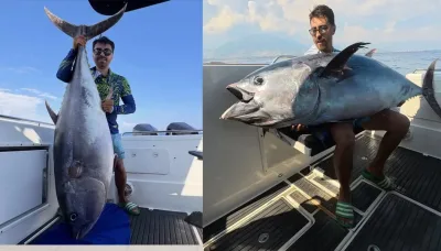 Orkinos avı: 118 kiloluk balık için 2,5 saat mücadele