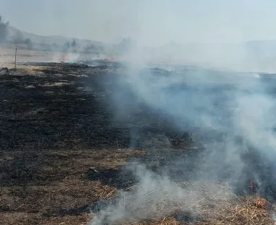 Beypazarı’nda Anız Yangını