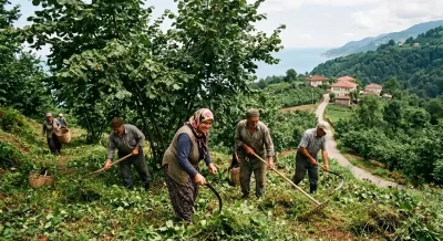 Tirebolu’dan imdat çağrısı: “Ot ilaçları ömrümüzü çalıyor”