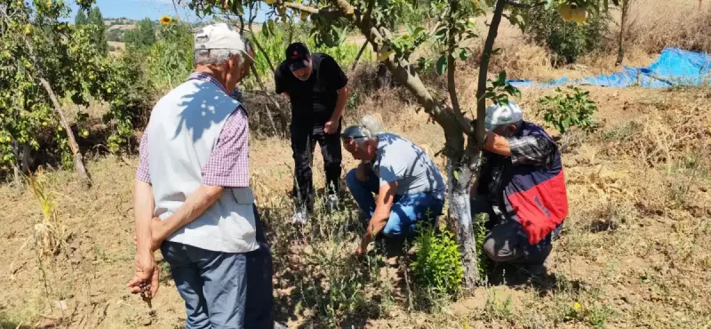 Balıkesir’de tarla faresine karşı uyarı